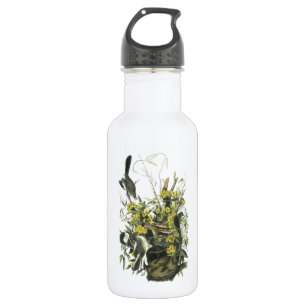 Botella De Agua Mockingbird del norte por Audubon