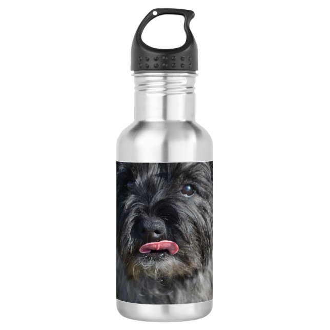 Botella De Agua Mojón Terrier adorable (Anverso)