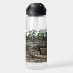 Botella De Agua Momento Tranquilo: Canguro Australiano en Billabon
