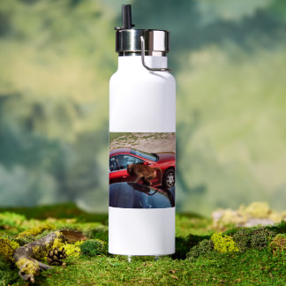 Botella De Agua Monkey Business