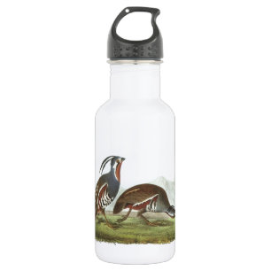 Botella De Agua Montañas de Audubon