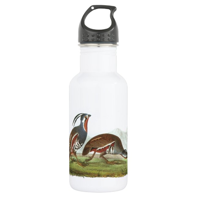 Botella De Agua Montañas de Audubon (Anverso)