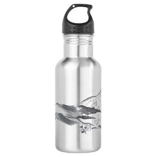 Botella De Agua Monte Damavand
