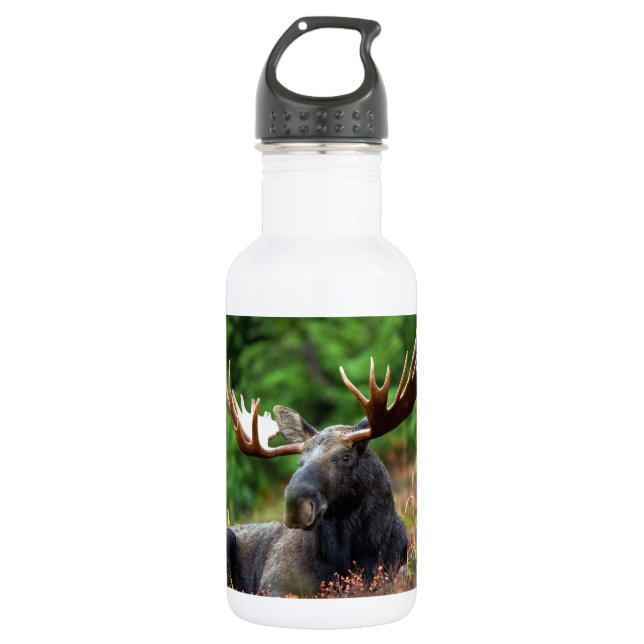 Botella De Agua Moose (Anverso)