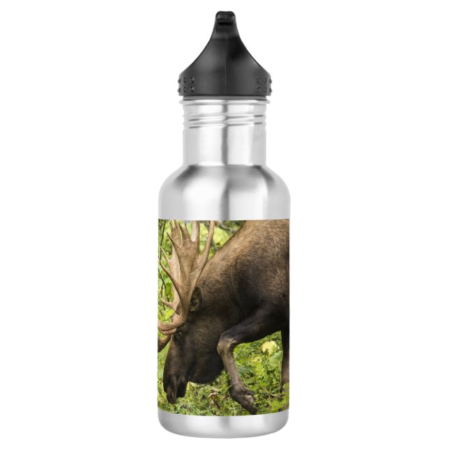 Botella De Agua Moose de significación (Derecha)