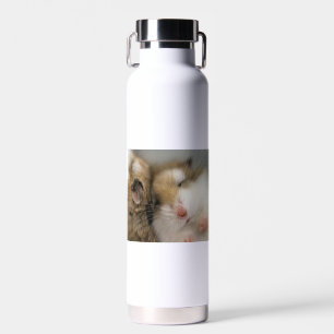 Botella De Agua Mover sobre Bob