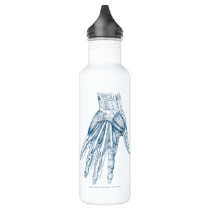 Botella De Agua Músculos del arte de la anatomía del vintage del