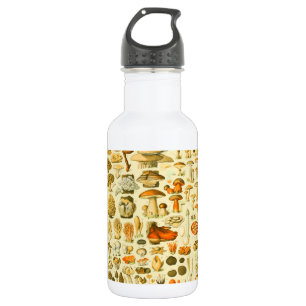 Botella De Agua Mushroom Vintage Toadstool Ilustracion antiguo