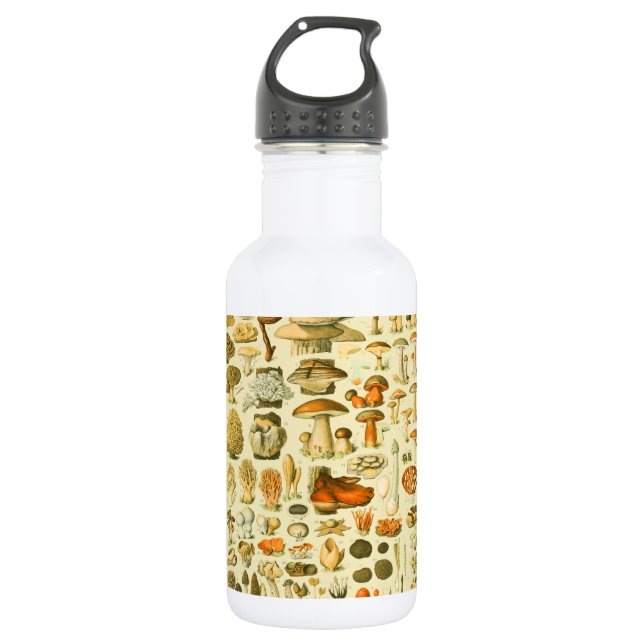 Botella De Agua Mushroom Vintage Toadstool Ilustracion antiguo (Anverso)