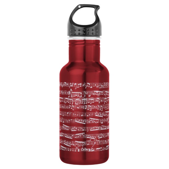 Botella De Agua Música de hoja rosa (Anverso)