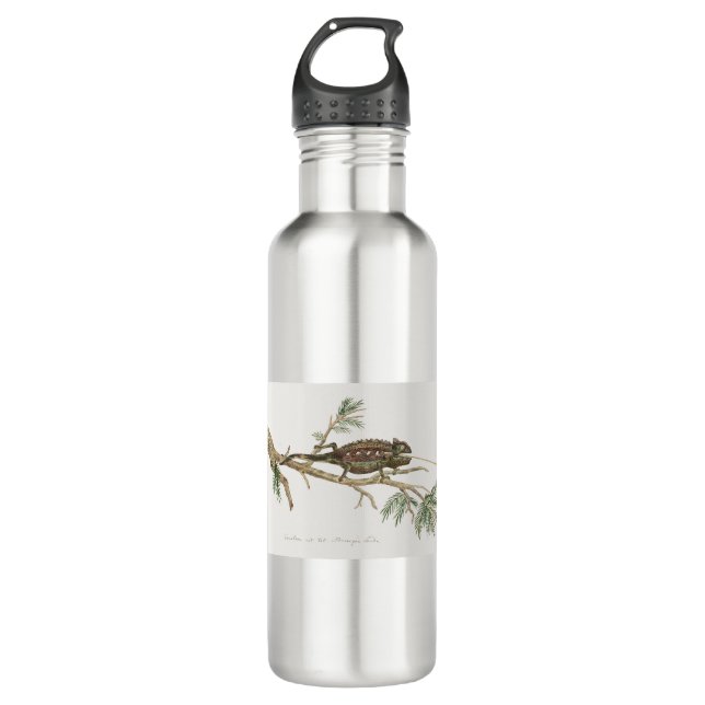 Botella De Agua Namaqua chameleon Lizard Reptile Gecko (Anverso)