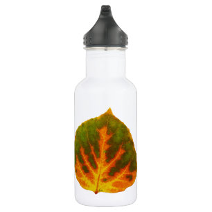 Botella De Agua Naranja verde y hoja de aluminio amarillo #1