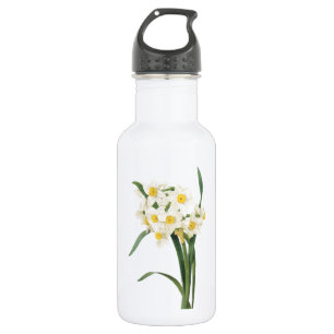 Botella De Agua narcissus (Narcissus tazetta) por Redouté