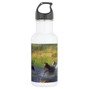 Botella De Agua Naturaleza hermosa del destino del rancho del