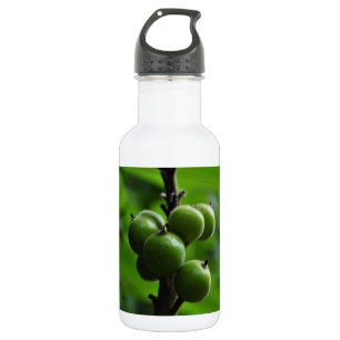 Botella De Agua Naturaleza verde fresca