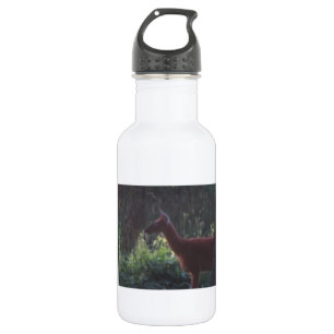 Botella De Agua Naturas Sed