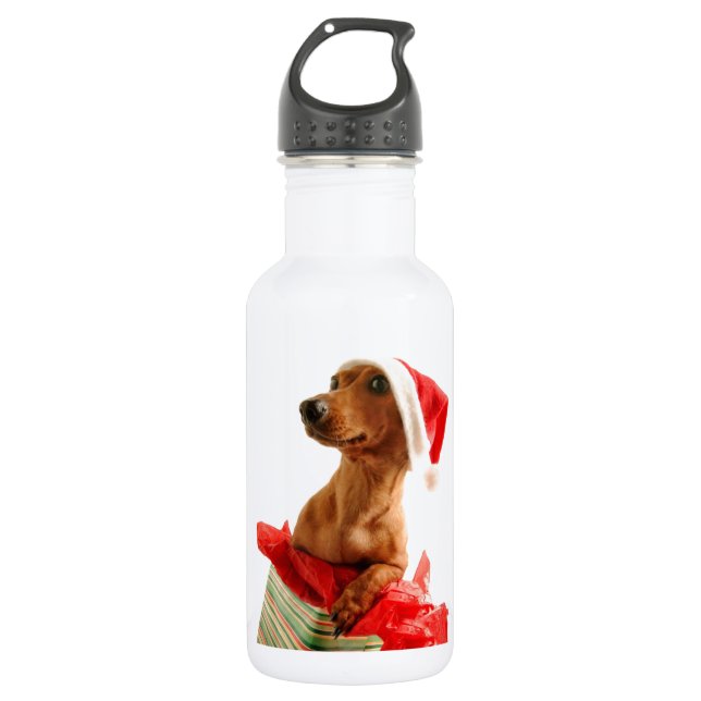 Botella De Agua Navidad mismo de un Doxie (Anverso)