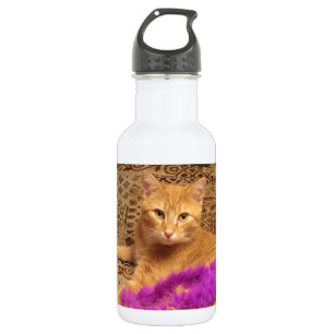 Botella De Agua ¡No lo hice!
