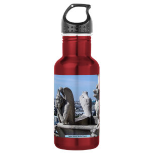 Botella De Agua Notre Dame, París, Francia