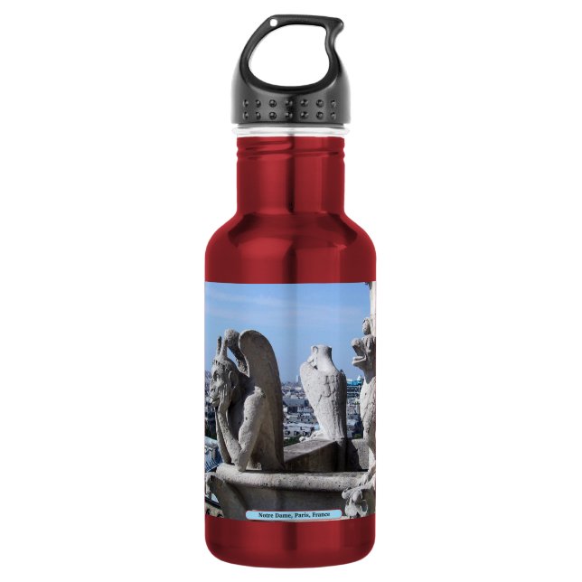 Botella De Agua Notre Dame, París, Francia (Anverso)