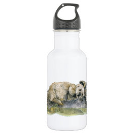 Botella De Agua Nutria de mar
