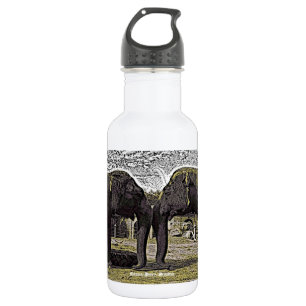 Botella De Agua Ojos de Elefante