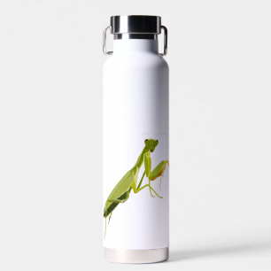 Botella De Agua Orando a Mantis