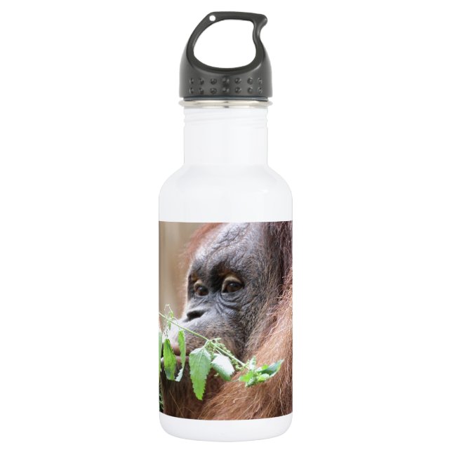 Botella De Agua OrangUtan005 (Anverso)