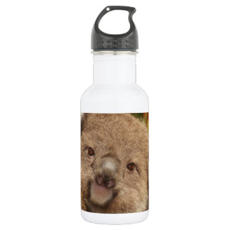 Botella De Agua Ositos Koala Lindos Fiesta de Cumpleaños en la duc