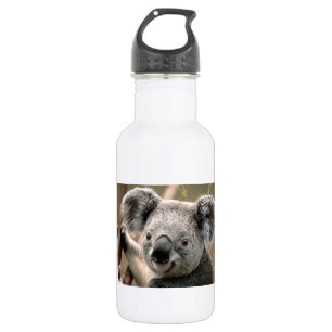 Botella De Agua Oso de koala