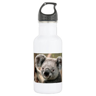 Botella De Agua Oso de koala