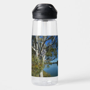 Botella De Agua Oso Koala Durmiendo En Un Árbol De Goma,