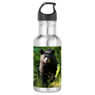 Botella De Agua Oso negro curioso