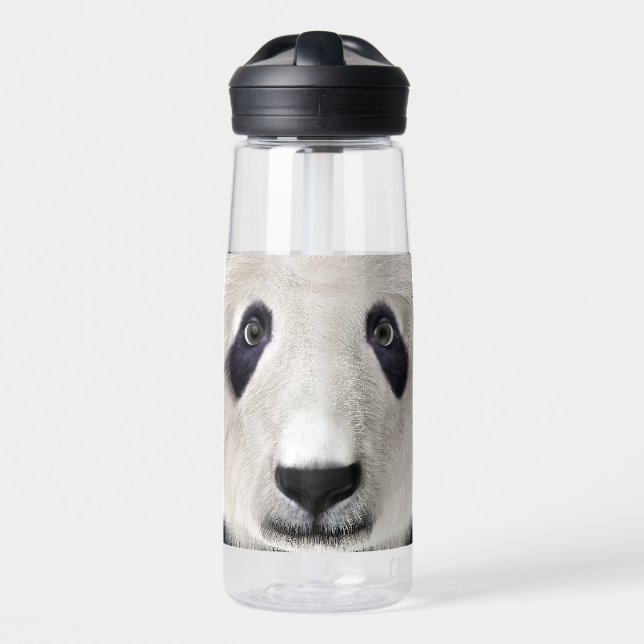 Botella De Agua Oso Panda (Delante)