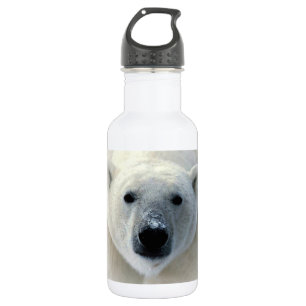 Botella De Agua Oso polar