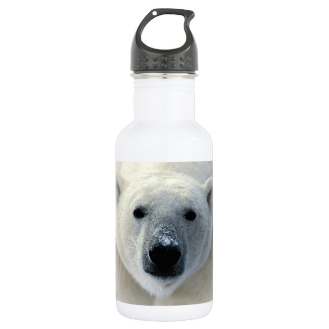 Botella De Agua Oso polar (Anverso)