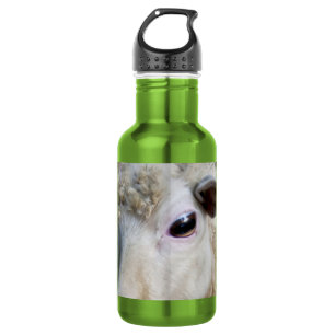 Botella De Agua Oveja divertida