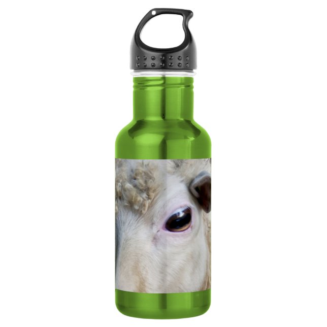 Botella De Agua Ovejas Divertidas (Anverso)