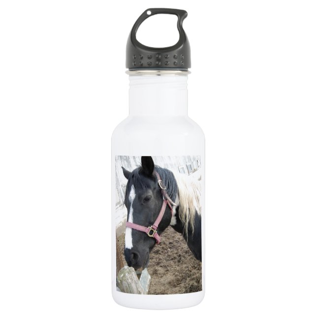 Botella De Agua Paint Pinto Horse (Anverso)