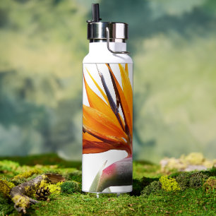 Botella De Agua Pájaro naranja de planta de paraíso en blanco