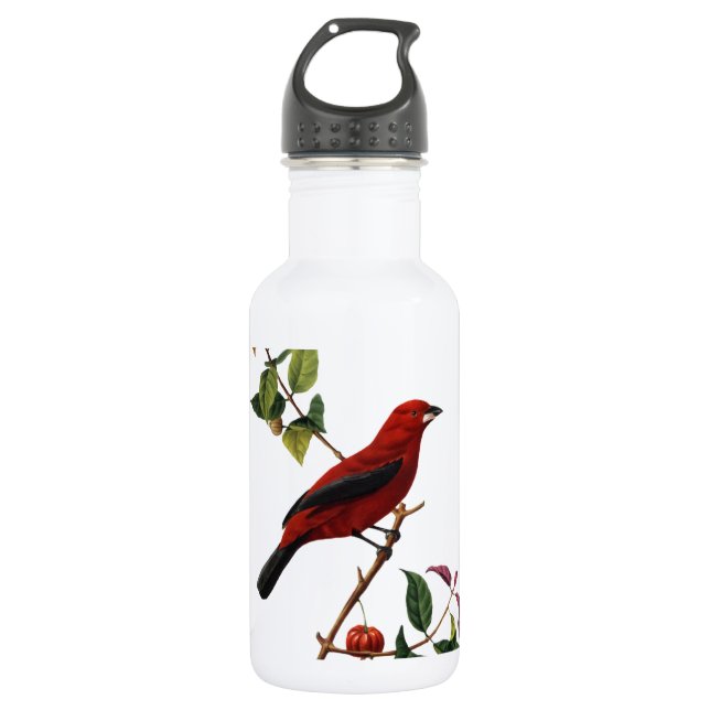 Botella De Agua Pájaro rojo (Anverso)
