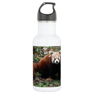 Botella De Agua Panda roja