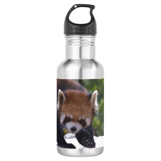 Botella De Agua Panda roja de vagabundeo (Anverso)
