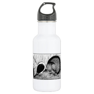 Botella De Agua Par de fantasía