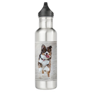Botella de agua para perros - Foto personalizada p