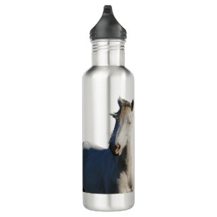 Botella de agua para sobrevivientes