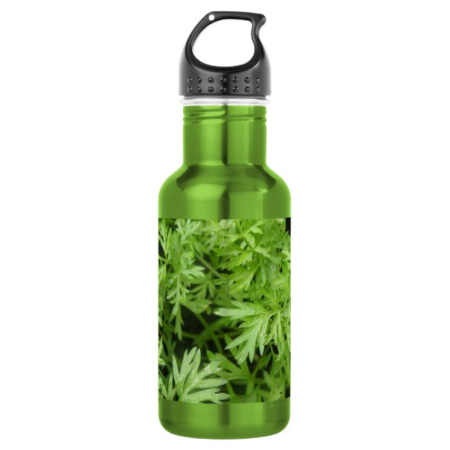 Botella De Agua Partes Superiores de Zanahoria (Anverso)