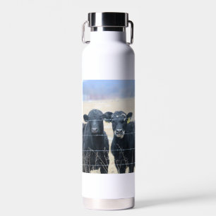 Botella De Agua Pasajeros bovinos