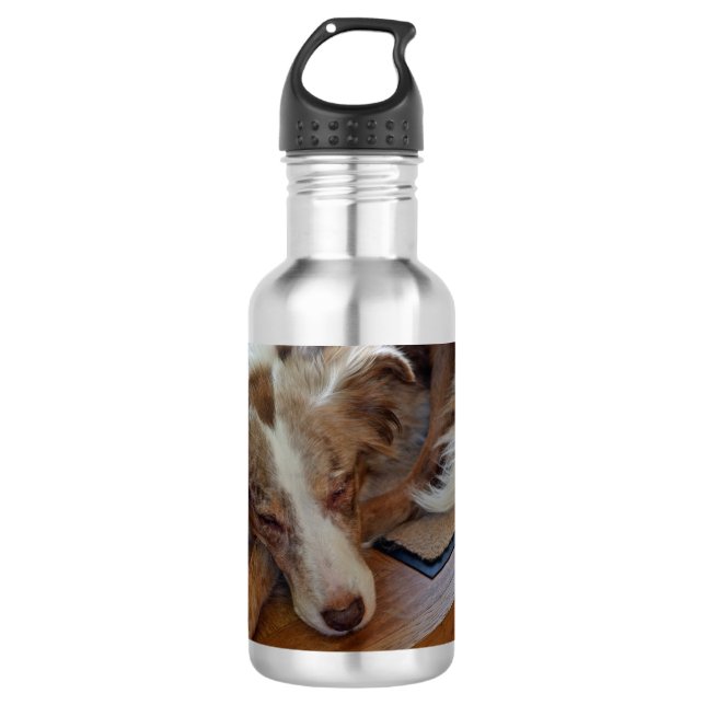 Botella De Agua pastor australiano de merle rojo durmiendo (Anverso)