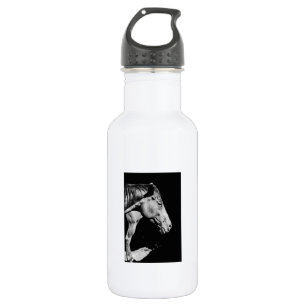 Botella De Agua pata de caballo principal